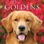 The Gift of Goldens By Willow Creek Press Cover Image
