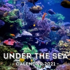 Under The Sea: 2021 Calendar, Cute Gift Idea For Underwater Lovers Men And Women By Clumsy Jelly Press Cover Image