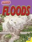 Floods By Marne Ventura, Heather Kissock (With) Cover Image