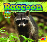 Raccoon (Backyard Animals) By Jordan McGill Cover Image