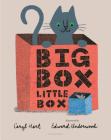 Big Box Little Box By Caryl Hart, Edward Underwood (Illustrator) Cover Image