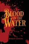 Fynneas Fog: Blood in the Water By Brooklyn Quintana Cover Image