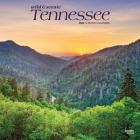 Tennessee Wild & Scenic 2020 Square Cover Image