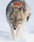 Wolf: Fun Learning Facts About Wolf Cover Image