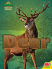 Deer (Backyard Animals) By Christine Webster Cover Image