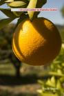 Oasis: A Love Letter to Rancho Dulce By Smoss, Paula Sweet Cover Image