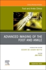 Advanced Imaging of the Foot and Ankle, an Issue of Foot and Ankle Clinics of North America: Volume 28-3 (Clinics: Orthopedics #28) By Jan Fritz (Editor) Cover Image