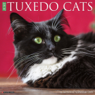 Just Tuxedo Cats 2022 Wall Calendar (Cat Breed) Cover Image