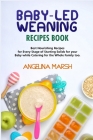 Baby-Led Weaning Recipes Book: Best Nourishing Recipes for Every Stage of Starting Solids for your Baby while Catering for the Whole Family too By Angelina Marsh Cover Image
