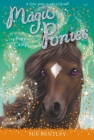 Pony Camp #8 (Magic Ponies #8) By Sue Bentley, Angela Swan (Illustrator) Cover Image