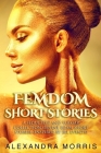 Femdom Short Stories: A Seductive and Vulgar Collection of Nine BDSM Short Stories (inspired by IRL events) Cover Image