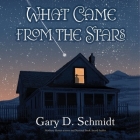 What Came from the Stars Lib/E By Gary D. Schmidt, Jef Holbrook (Read by) Cover Image