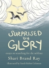 Surprised by Glory: Essays on Searching for the Sublime By Shari Brand Ray, Sarah Robin Coleman (Illustrator) Cover Image