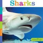 Seedlings: Sharks By Kate Riggs Cover Image