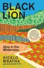 Black Lion: Teachings from the Wilderness By Sicelo Mbatha, Bridget Pitt (With) Cover Image