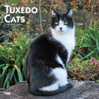 Tuxedo Cats 2021 Square Cover Image