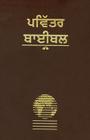 Punjabi Holy Bible-FL: Easy to Read Cover Image