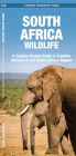 South Africa Wildlife: A Folding Pocket Guide to Familiar Animals (Pocket Naturalist Guide) Cover Image