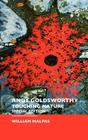 Andy Goldsworthy: Touching Nature: Special Edition (Sculptors) Cover Image