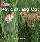 Pet Cat, Big Cat: Red / Band 2A (Collins Big Cat) By Alison Hawes Cover Image