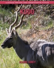 kudu: Lustige Fakten und sagenhafte Fotos By Jeanne Sorey Cover Image