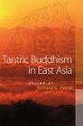 Tantric Buddhism in East Asia By Richard K. Payne (Editor) Cover Image