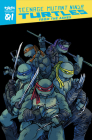 Teenage Mutant Ninja Turtles: Reborn, Vol. 1 - From The Ashes (TMNT Reborn #1) By Sophie Campbell Cover Image