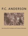 Nero Rising: UFOs, The Rapture and The Beasts of Revelation By P. C. Anderson Cover Image