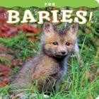 Fox Babies! (Babies! (Farcountry Press)) By Stephen C. Hinch Cover Image