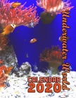 Underwater World Calendar 2020: 14 Month Desk Calendar Showing the Beauty of the Deep Cover Image