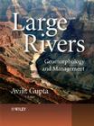 Large Rivers: Geomorphology and Management By Avijit Gupta (Editor) Cover Image