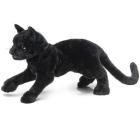 Black Cat Puppet By Folkmanis Puppets (Created by) Cover Image
