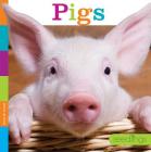 Pigs (Seedlings) By Quinn M. Arnold Cover Image