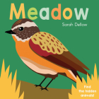 Now You See It! Meadow By Sarah Dellow Cover Image