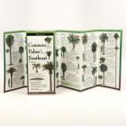 Common Palms of the Southeast & Texas Cover Image