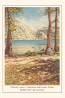 The Vintage Journal Tenaya Lake, Yosemite, California By Found Image Press (Producer) Cover Image