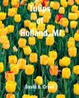 Tulips of Holland, MI By David B. Cross Cover Image