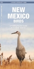 New Mexico Birds: A Folding Pocket Guide to Familiar Species (Pocket Naturalist Guide) Cover Image