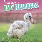 All about Baby Flamingos Cover Image