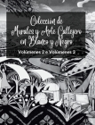 Colección de Murales y Arte Callejero en Blanco y Negro - Volúmenes 2 y 3: Dos libros fotográficos sobre arte y cultura urbanos Cover Image