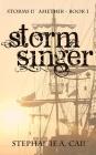 Stormsinger Cover Image