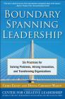 Boundary Spanning Leadership: Six Practices for Solving Problems, Driving Innovation, and Transforming Organizations Cover Image