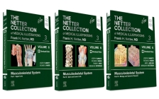 The Netter Collection of Medical Illustrations: Musculoskeletal System Package: Volume 6 (Netter Green Book Collection) Cover Image