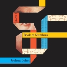 Book of Numbers Lib/E By Joshua Cohen, Kirby Heyborne (Read by) Cover Image
