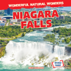 Niagara Falls By Bray Jacobson Cover Image