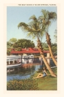 Vintage Journal Boat Docks, Silver Springs, Florida By Found Image Press (Producer) Cover Image