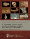 Pleistocene and Holocene hunter-gatherers in Iberia and the Gibraltar Strait: the current archaeological record By Robert Sala Ramos (Editor), Eudald Carbonell (Editor), Jose Maria Bermudez de Castro (Editor) Cover Image