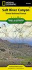 Salt River Canyon Map [Tonto National Forest] (National Geographic Trails Illustrated Map #853) By National Geographic Maps Cover Image