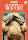 Egyptian Mummies (Ancient Egypt) By Tyler Gieseke Cover Image