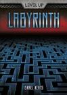 Labyrinth (Level Up) Cover Image